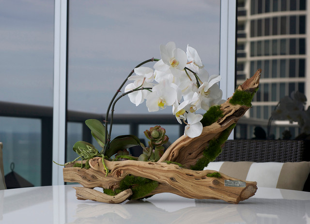 Emilio Robba Phala Orchid Garden - Living Room - Miami - by Emilio