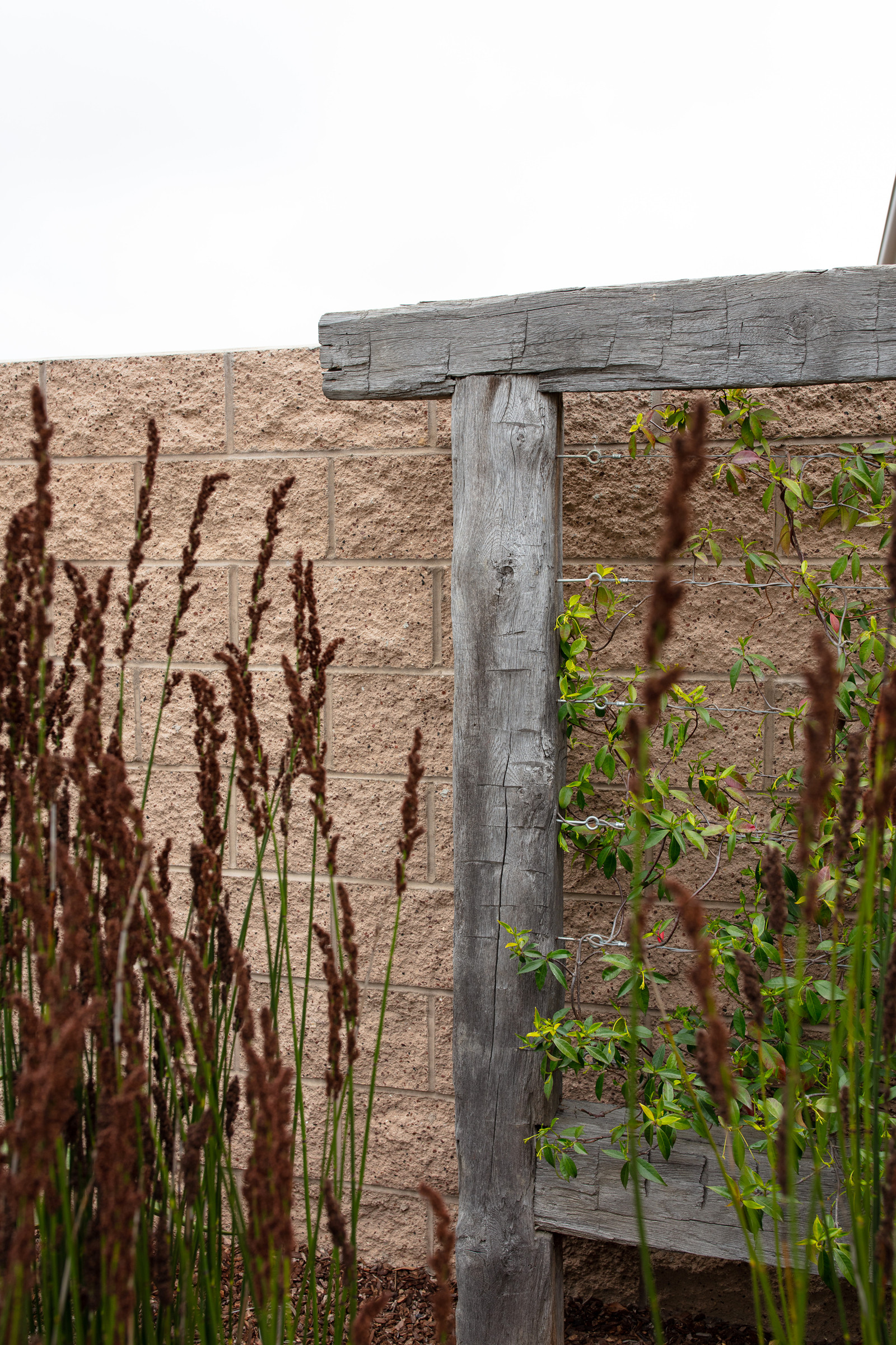 Trilogy Landscape and Outdoor Kitchen