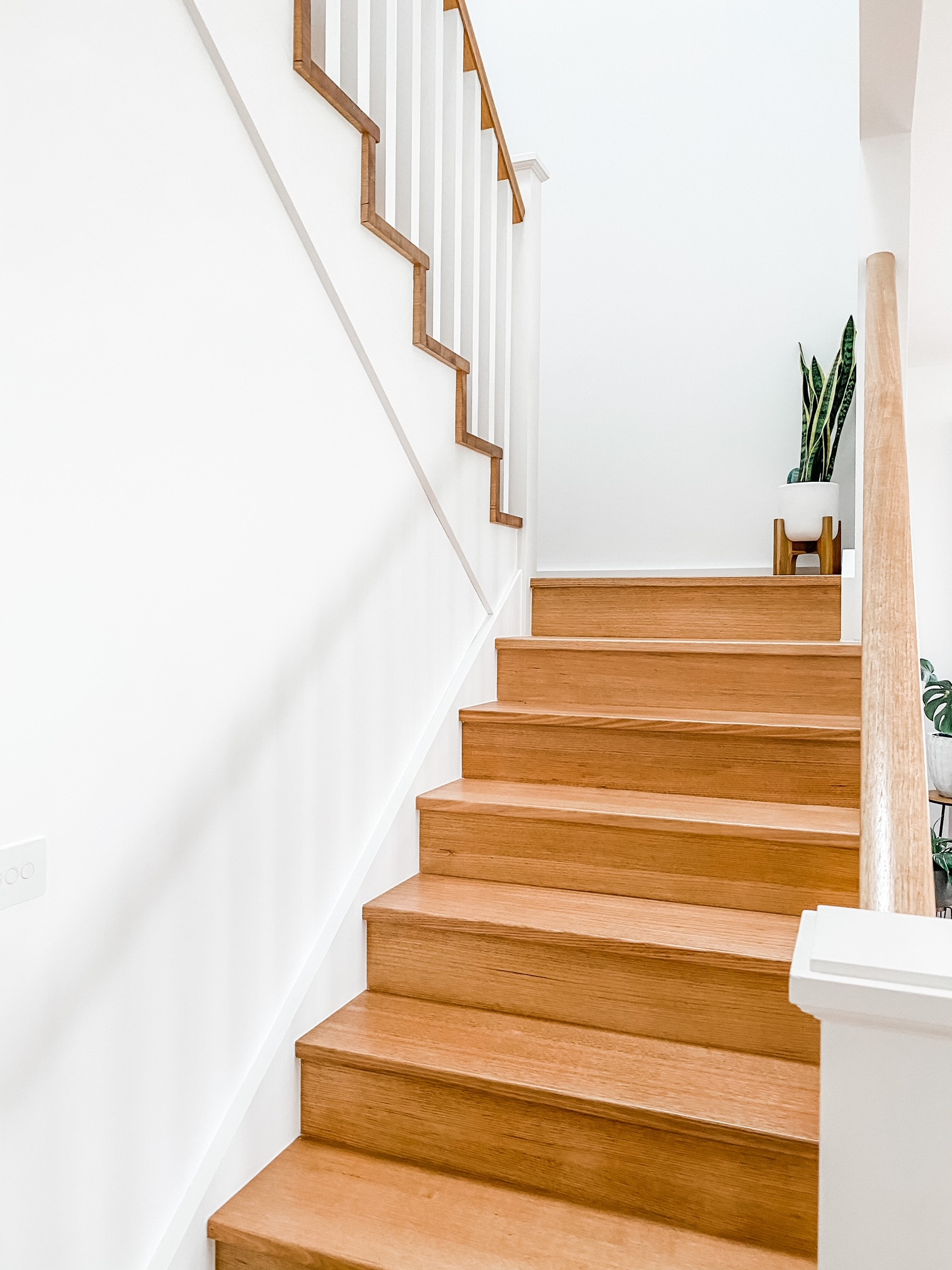 Blackburn North – Hampton-Inspired, Light-Filled & Energy Efficient