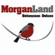 MorganLand Betonzaun Deluxe