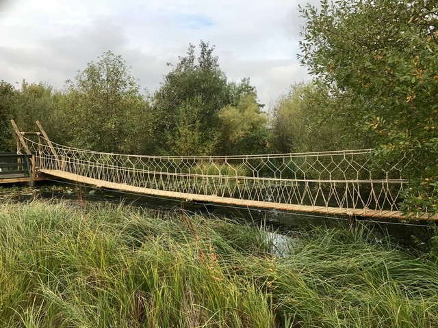Lake Rope Bridge for London Wetlands Centre 'Wild Walk' project -  Traditional - Landscape - London - by Treehouse Life Ltd.