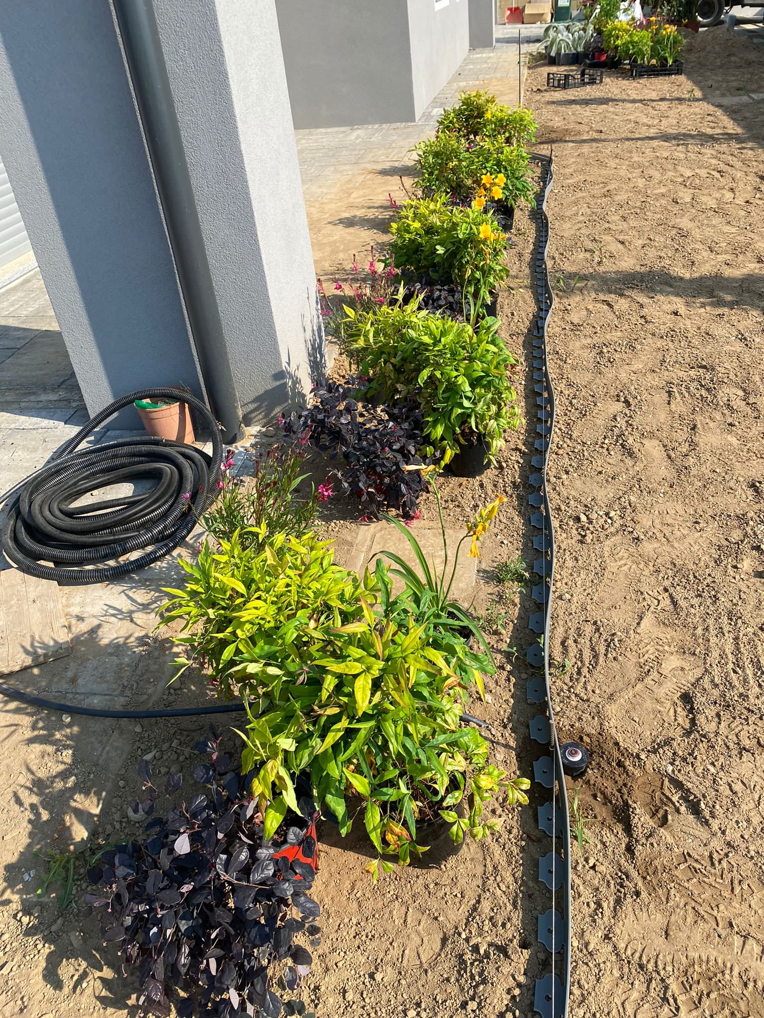 Realizzazione Giardino per villa moderna