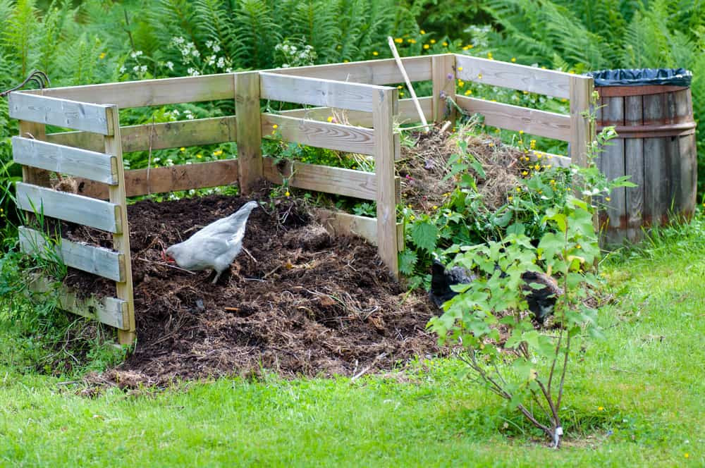 Compost pile system