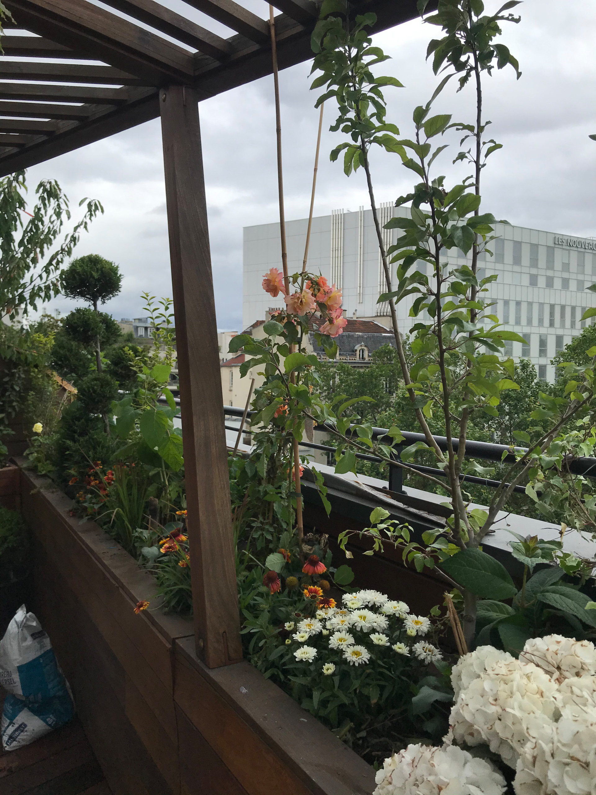 terrasse paysagée Boulogne