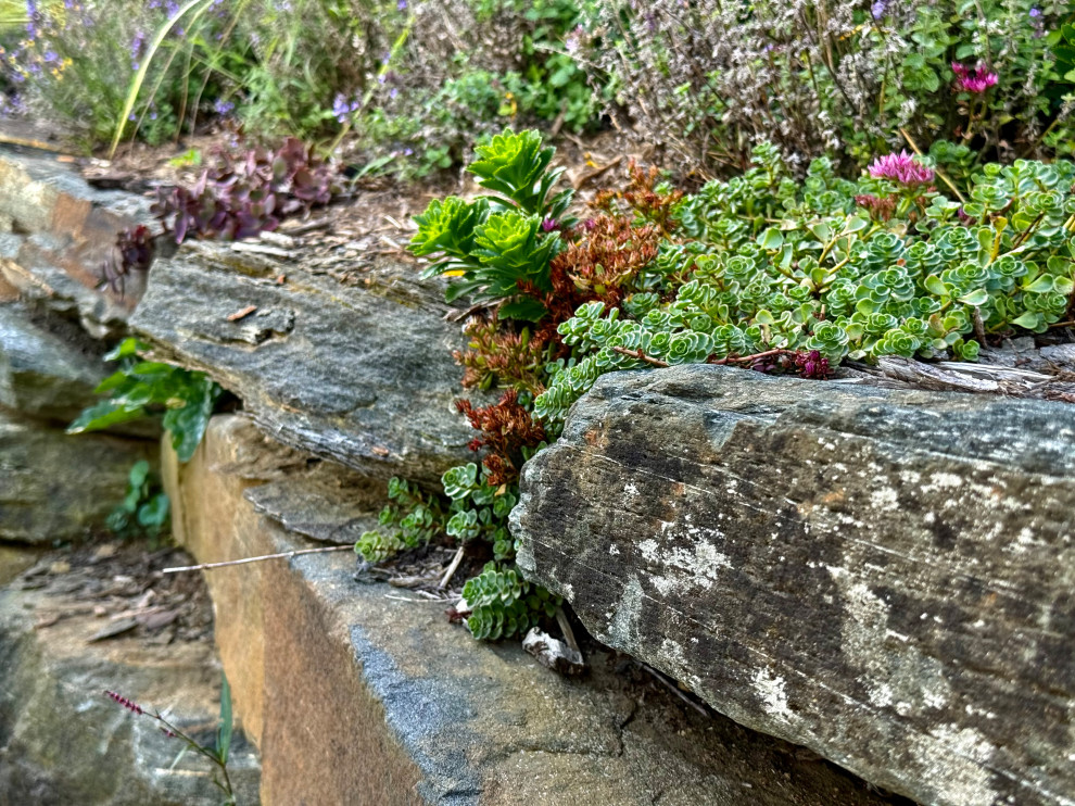 Inspiration for an eclectic landscaping in Charlotte.