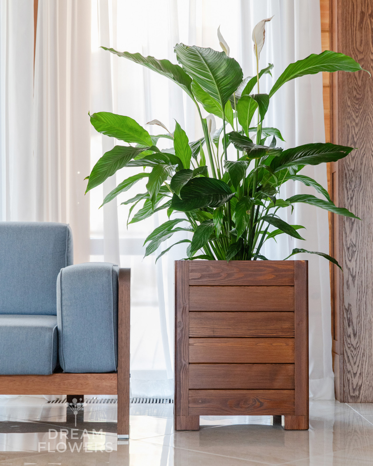 Спатифиллум в кашпо собственного производства