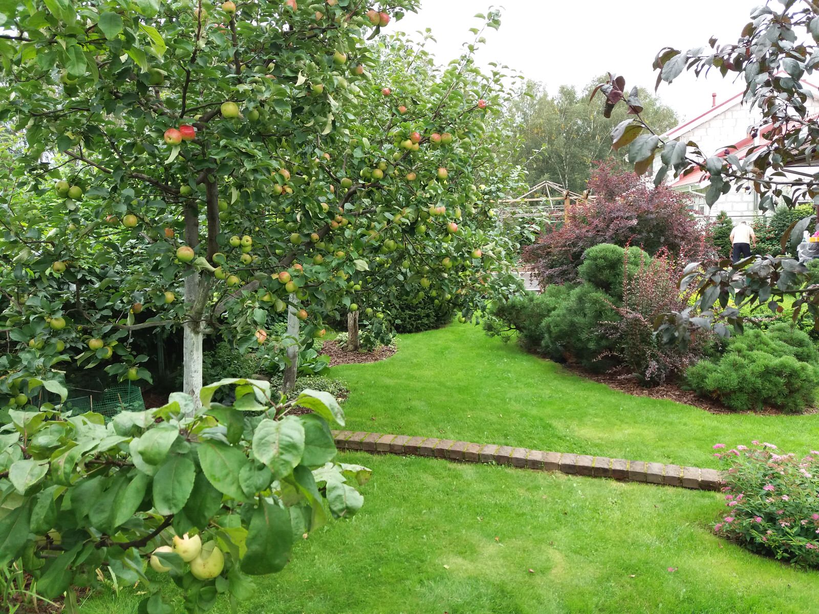 Уход за участками и проектирование