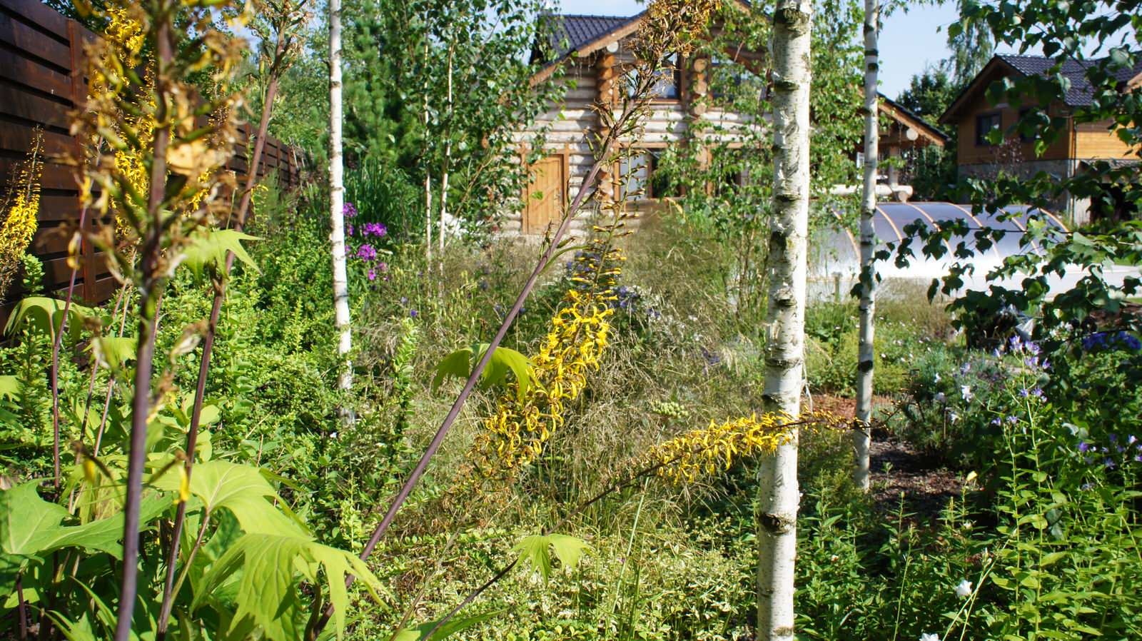 Прохорово лето 2017