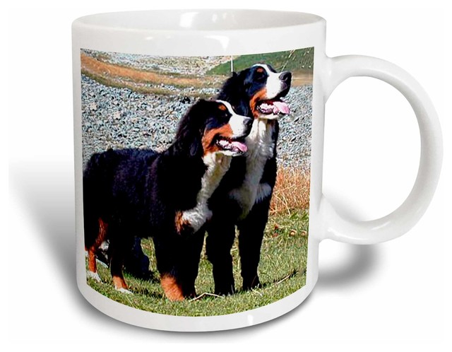 Bernese Mountain Dog Mug Contemporary Mugs By Rose L C Bernese Mountain Dog Mug 15 Oz