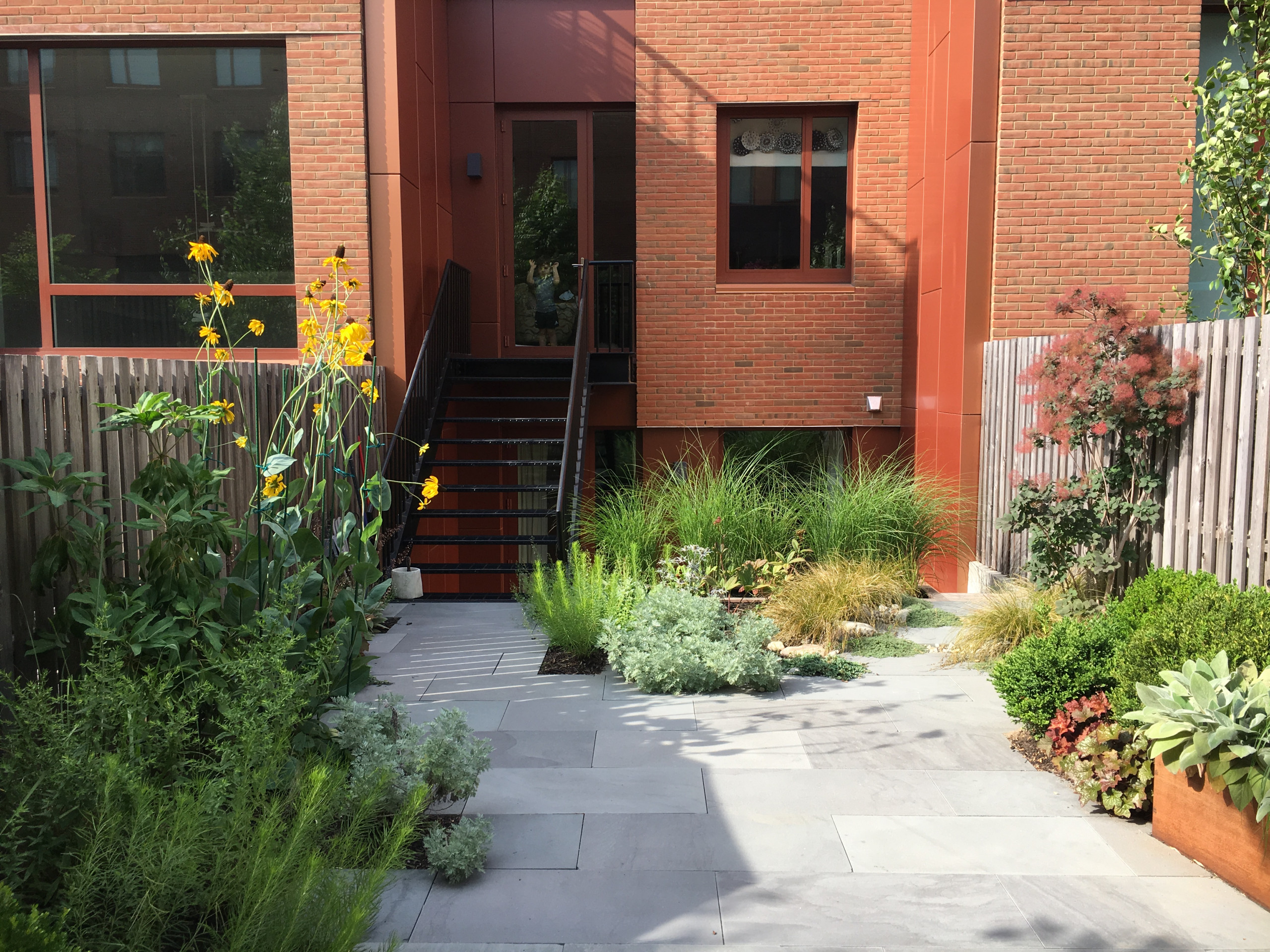 Modern Garden with Curved Corten Border