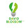 David Blossom LLC