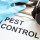 Sidney Pest Control Solutions