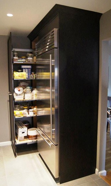 Thomas Place contemporary-kitchen