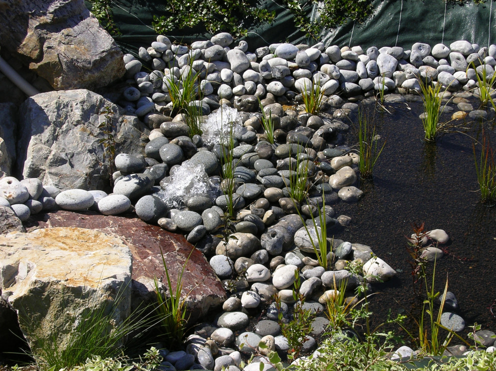 Piscine naturelle