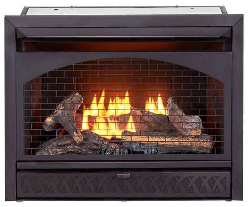 Procom 29in Ventless Gas Dual Fuel Fireplace Insert 26 000 Btu T Stat Transitional Indoor Fireplaces By - Pro Com Ventless Gas Fireplace Procom 29in Ventless Gas Dual Fuel Fireplace Insert 26 000 Btu T Stat Transitional Indoor Fireplaces By - Pro Com Ventless Gas Fireplace