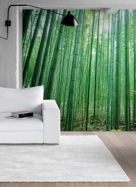 Tapeten Design Referenzen moderno