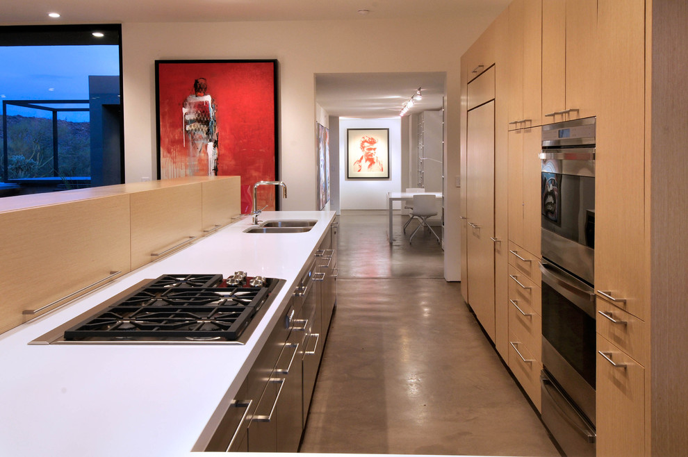 Photo of a contemporary galley kitchen in Phoenix with a double-bowl sink, panelled appliances, flat-panel cabinets and light wood cabinets.