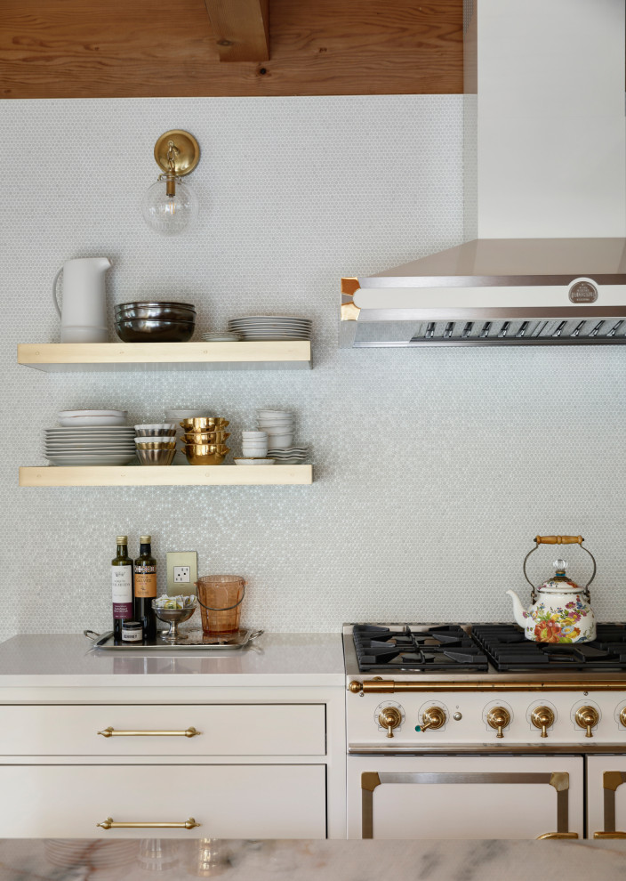 Example of a transitional kitchen design in Minneapolis