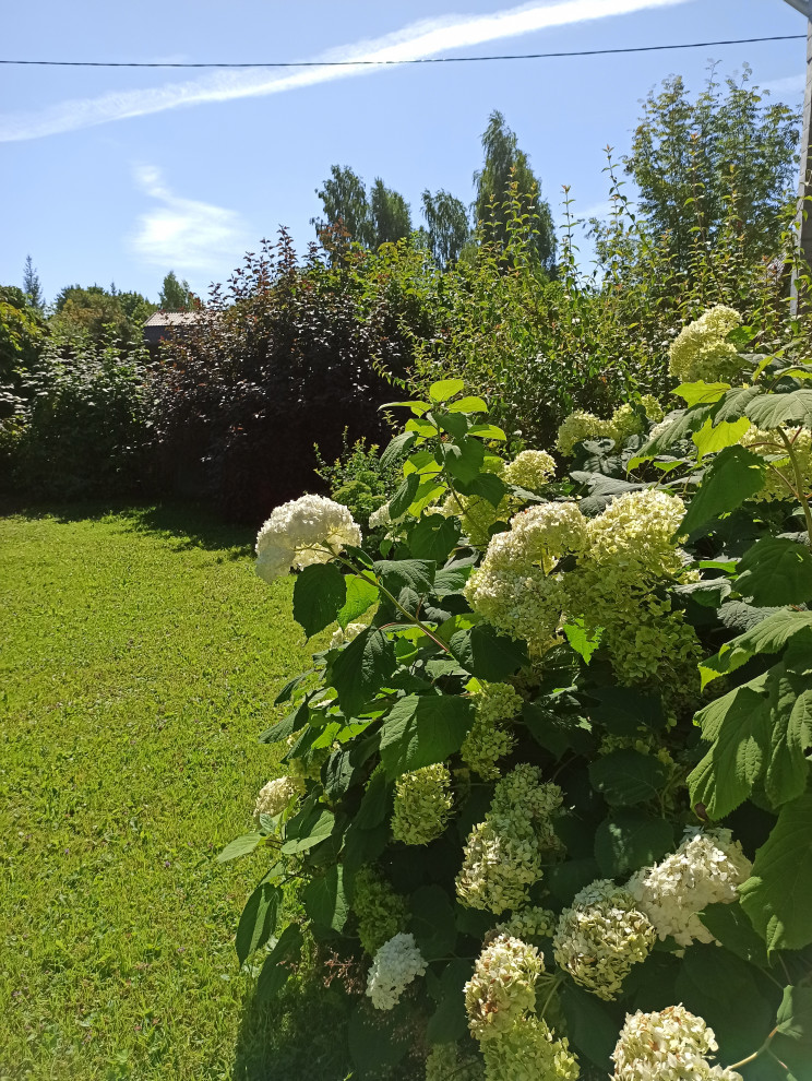 Ландшафт сада в 6 соток.