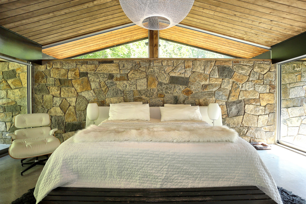 Immagine di una camera da letto moderna con pareti multicolore, pavimento in cemento, pavimento grigio, soffitto a volta e soffitto in legno