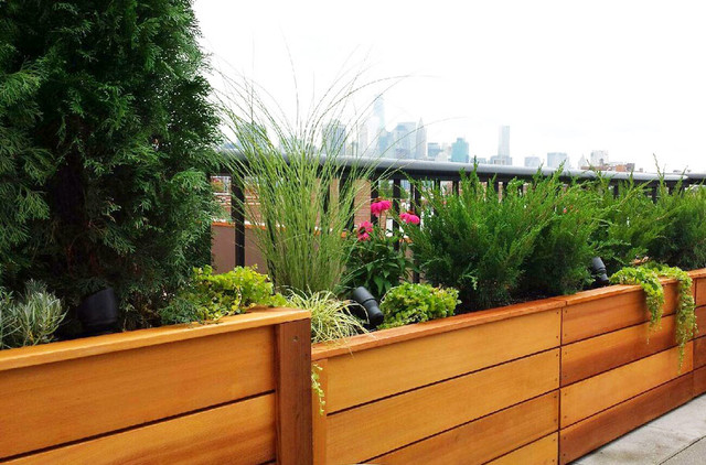 Carroll Gardens, Brooklyn Rooftop Garden Design with Custom Planters contemporary-terrace