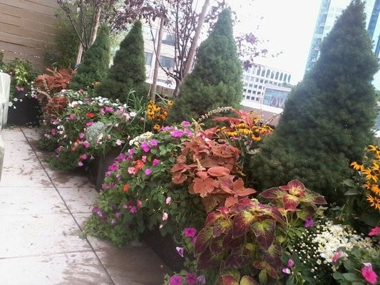 This is an example of a large modern garden in New York.