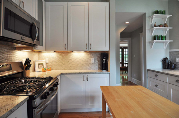 Dover Place transitional-kitchen