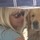 wendy_james51