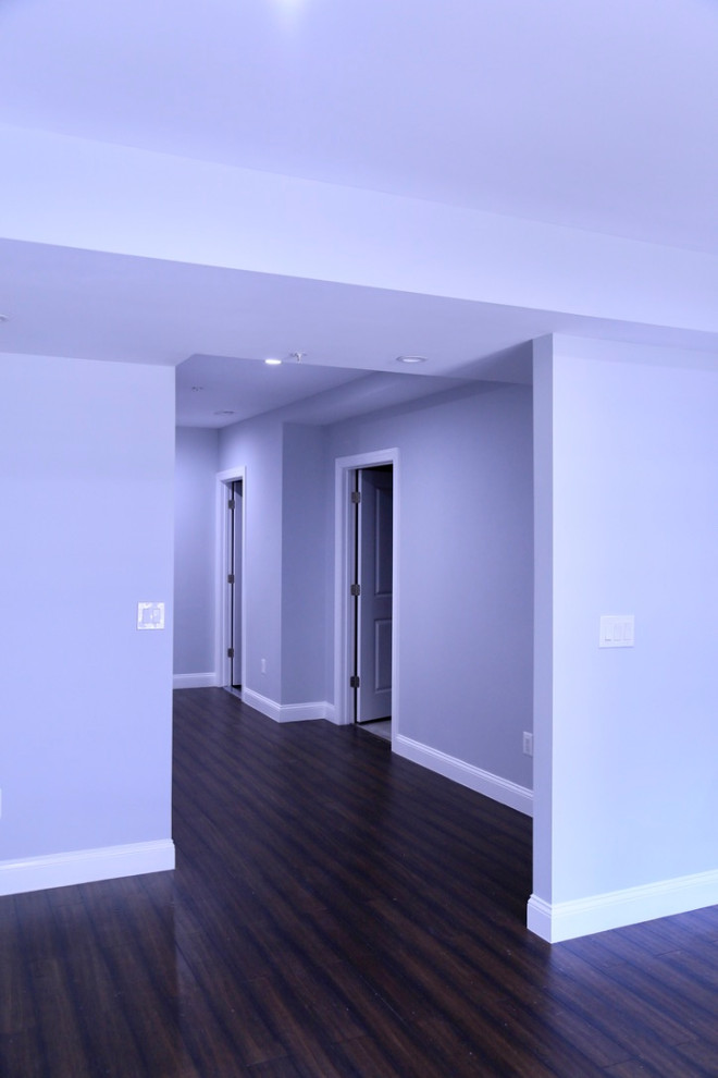 Inspiration for a transitional basement remodel in DC Metro