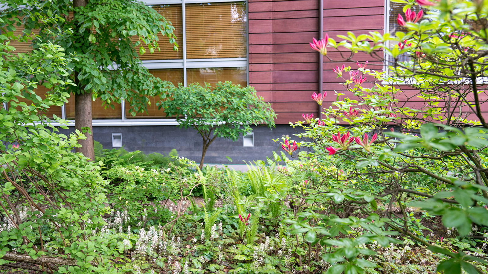 Сад с японским характером в КП  "Ландшафт", Усово 2010 г