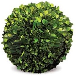 GHN_FREEZE DRIED TOPIARY 8_04