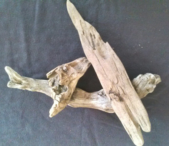 Driftwood From the Missouri Ozarks’ Osage River by Troy’s Treasure Trove