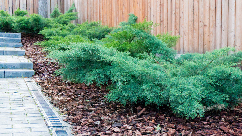 Дерево и Камень