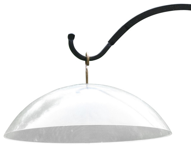 Clear Dome Protector With Brass Hanger Traditional Bird