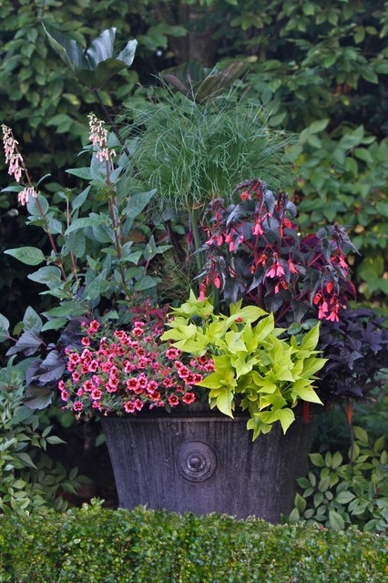 12 Stylish Ways To Plant Your Summer Container Gardens