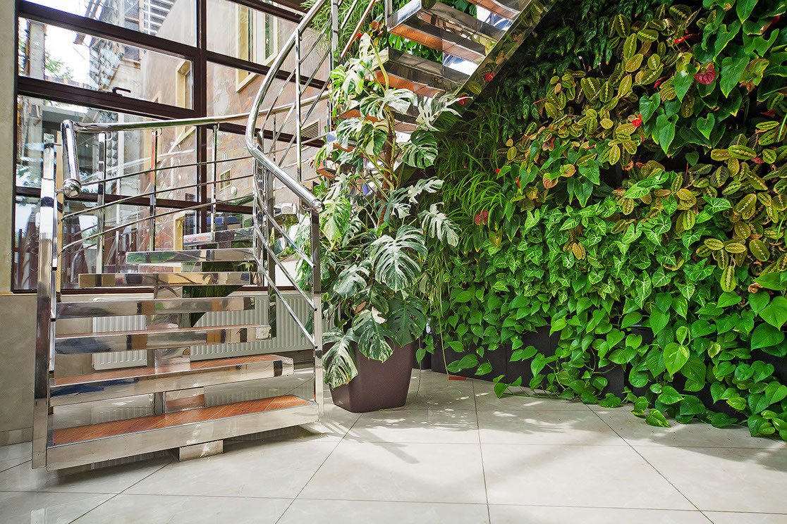 Ландшафтный дизайн