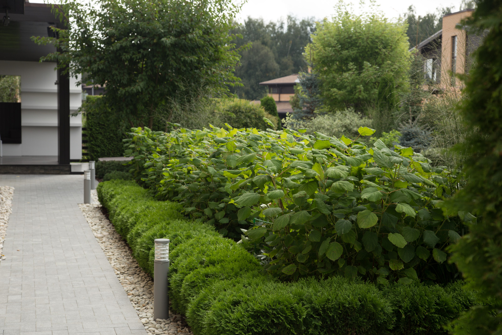 Светлогорье лето 2016