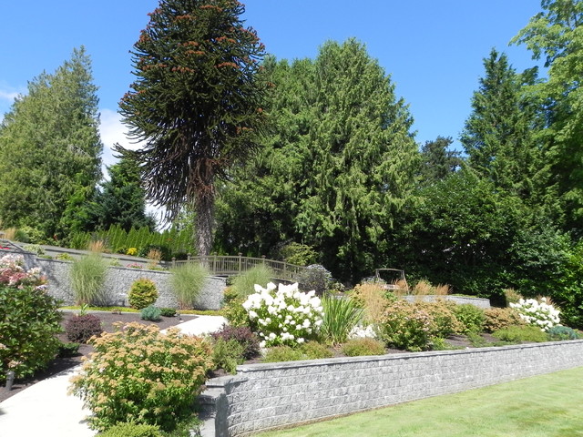 Lake Stevens Residence traditional-garden