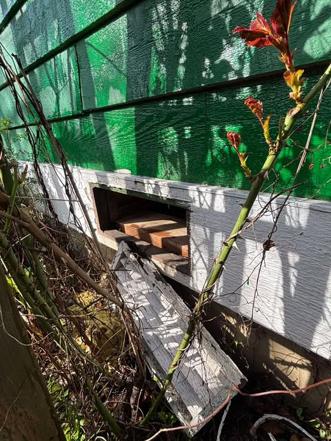 Exterior Siding Replacement