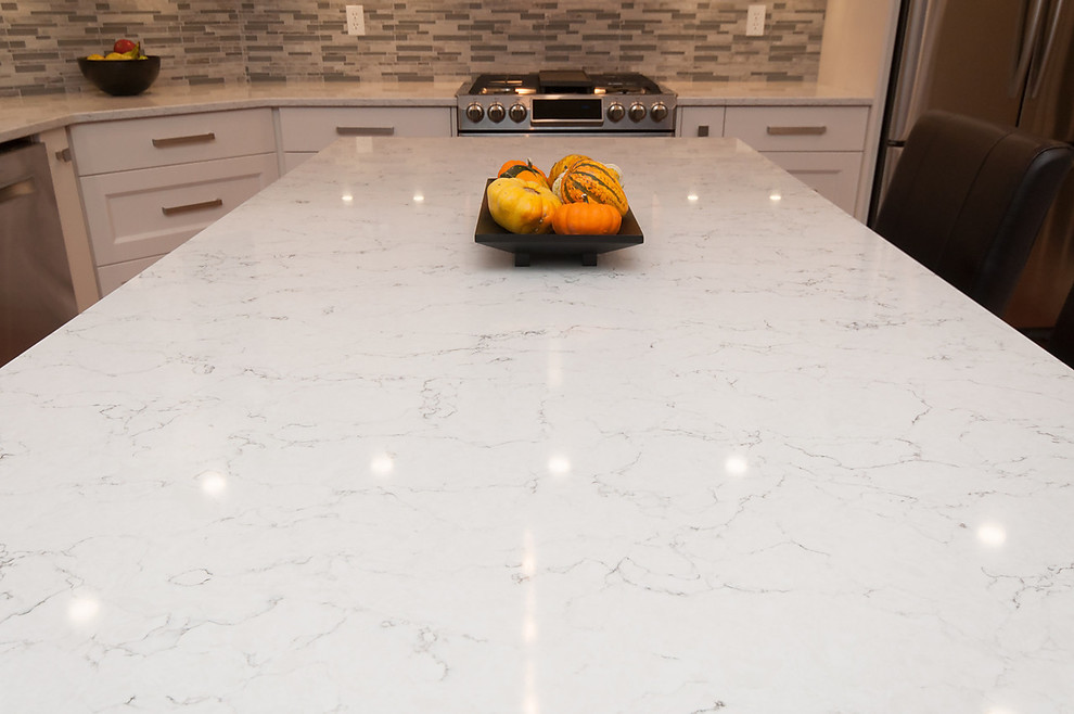 Example of a transitional kitchen design in Vancouver