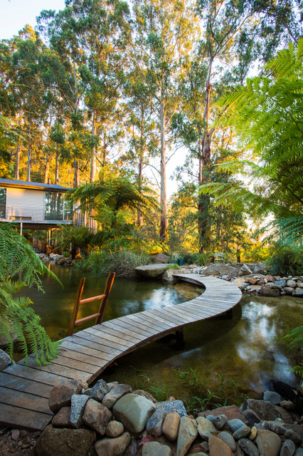 Natural Pools pool