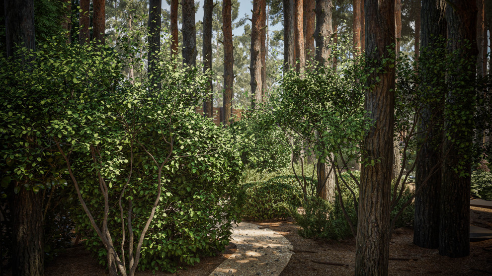 Дыханье леса