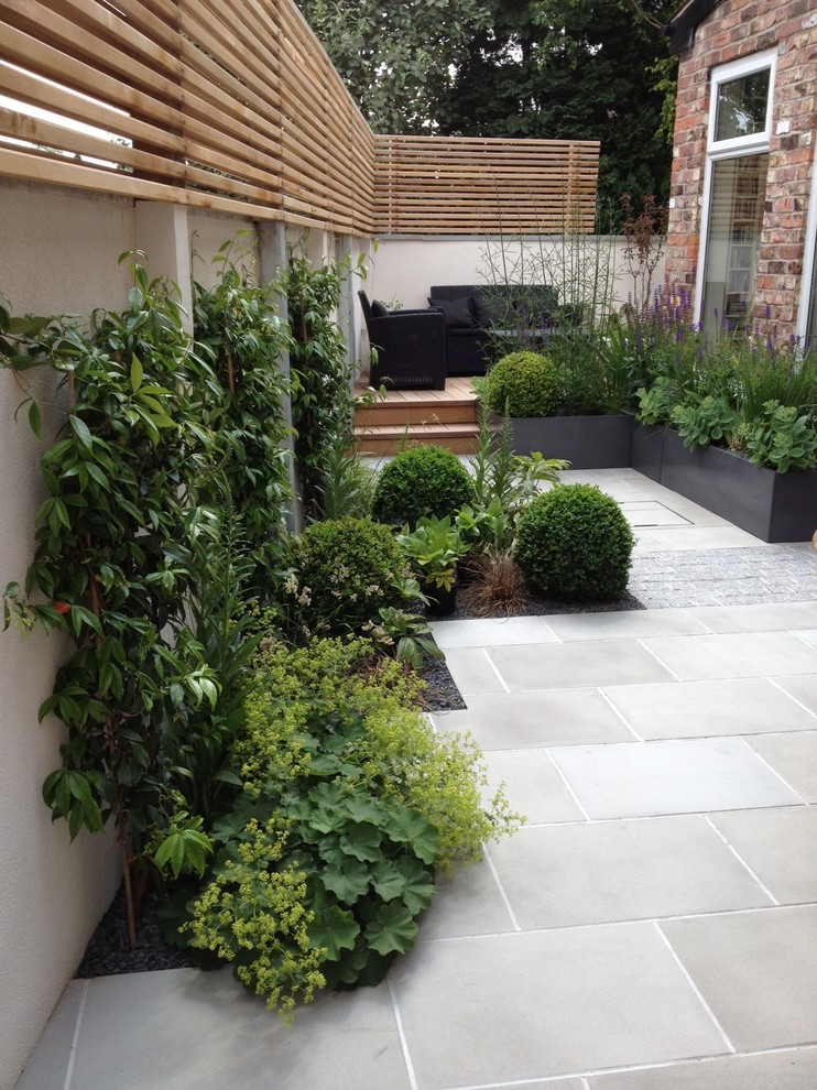 Design ideas for a small contemporary courtyard formal garden in Manchester with a container garden and natural stone pavers.
