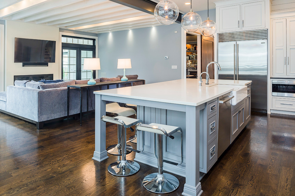 Kitchen - transitional kitchen idea in Chicago