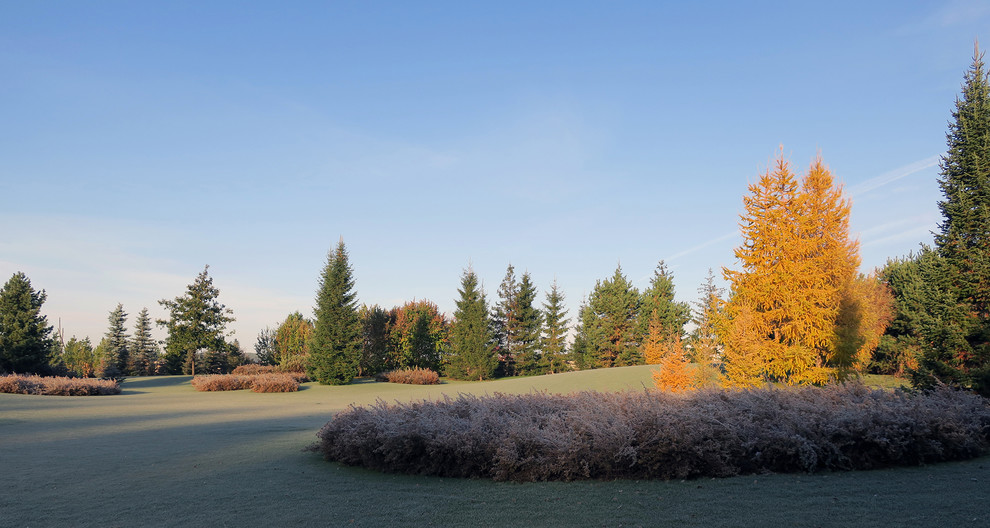 Новый пейзаж