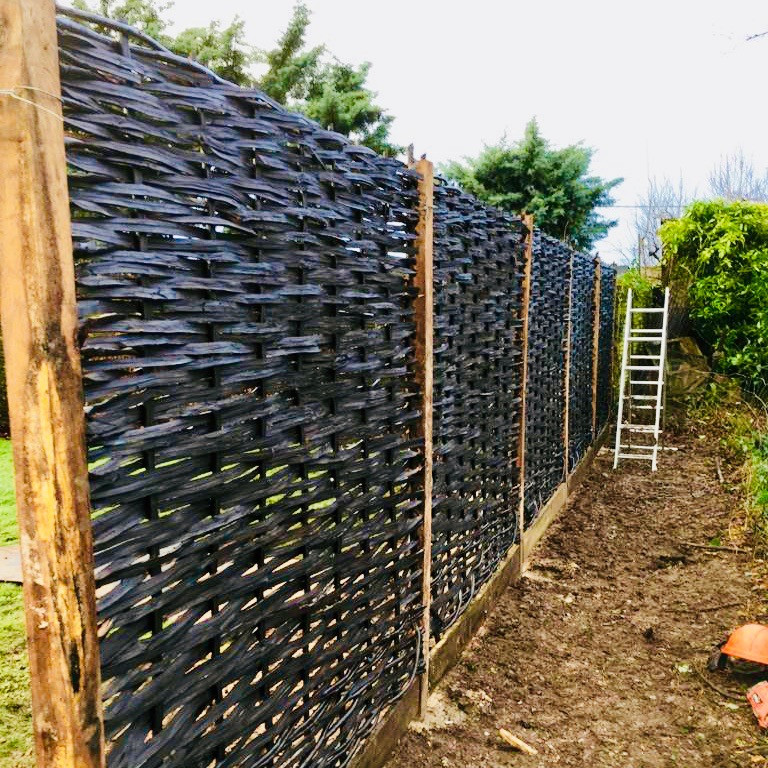 Garden Screening Ideas