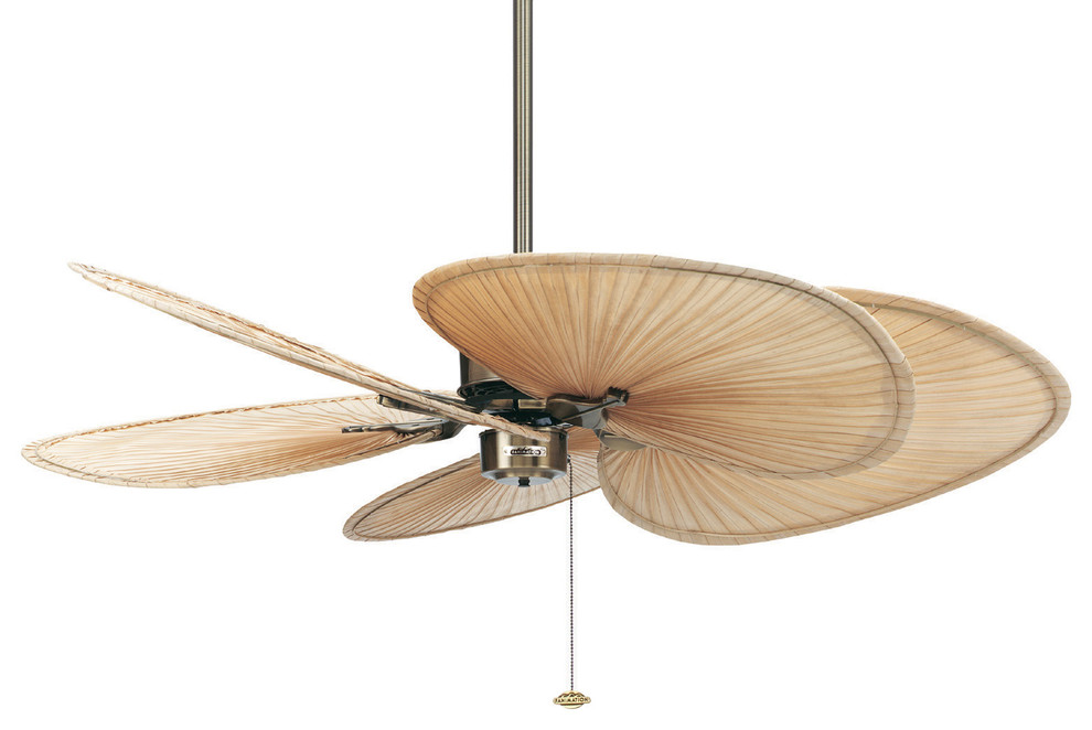 Fanimation Islander 52 Ceiling Fan Antique Brass Wide Oval Palm