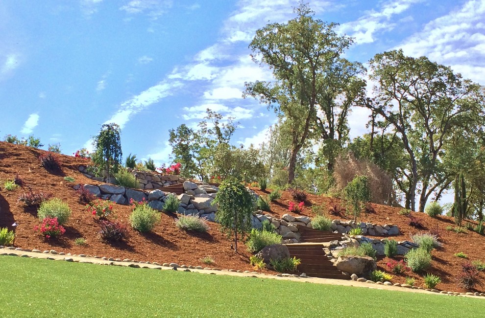 Design ideas for a mediterranean garden in Sacramento.