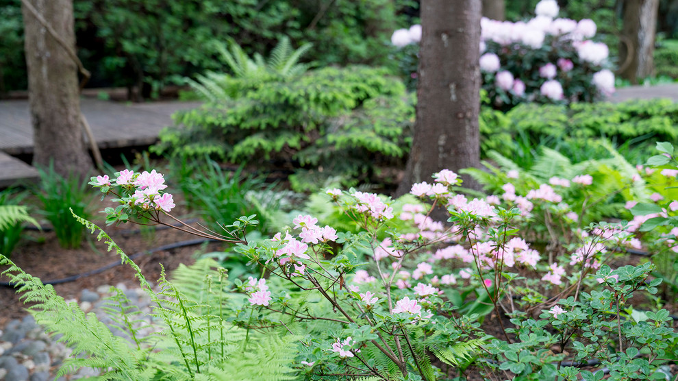 Сад с японским характером в КП  "Ландшафт", Усово 2010 г