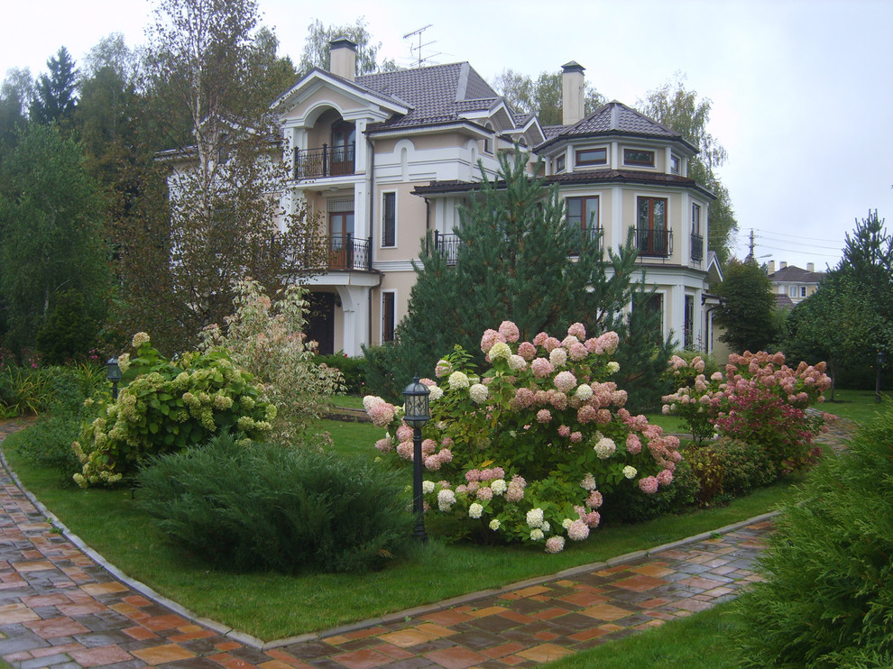 Гортензия метельчатая с хвойными